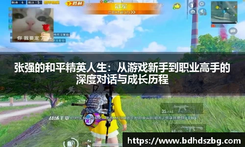 BB贝博登录入口